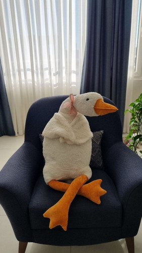 عروسک غازخوابیده مناسب کادو سیسمونی تولد