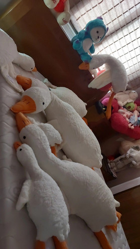 عروسک غازخوابیده بزرگ بهترین کادوی سال