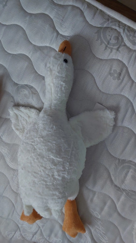 عروسک غاز خوابیده 50 سانت