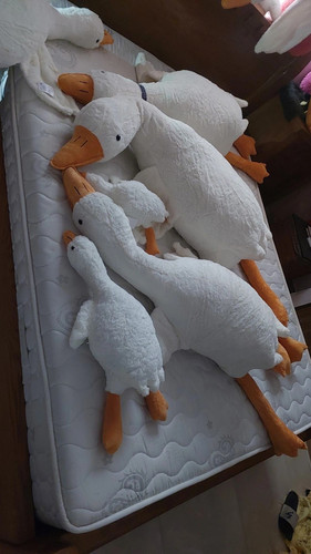 عروسک غازخوابیده 190سانتی بزرگترین عروسک